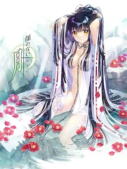 无颜之月-待宵双椿 无颜之月-待宵双椿 故事背景资料 封面图